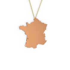 Fransa Kolye - 14 ayar rose altın kolye (40 cm gümüş rolo zincir) #1a5yxqf
