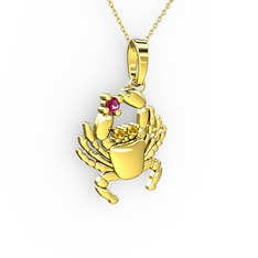 Yengeç Kolye - Rodolit garnet ve sitrin 8 ayar altın kolye (40 cm altın rolo zincir) #hj6230