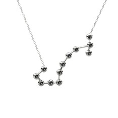 Scorpio Kolye - Siyah zirkon 925 ayar gümüş kolye (40 cm beyaz altın rolo zincir) #190zdl4