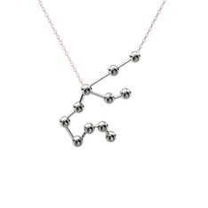 Aquarius Kolye - Siyah zirkon 14 ayar beyaz altın kolye (40 cm rose altın rolo zincir) #173gjec