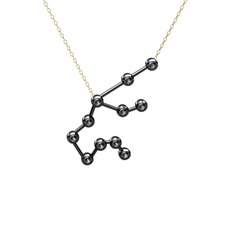 Aquarius Kolye - Siyah zirkon 925 ayar siyah rodyum kaplama gümüş kolye (40 cm altın rolo zincir) #i5glll
