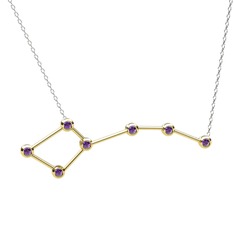 Ursa Minor Kolye - Ametist 925 ayar altın kaplama gümüş kolye (40 cm beyaz altın rolo zincir) #1wym07