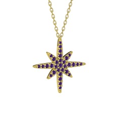 Kutup Yıldızı Kolye - Ametist 14 ayar altın kolye (40 cm altın rolo zincir) #1b1mef7