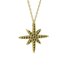 Kutup Yıldızı Kolye - Peridot 14 ayar altın kolye (40 cm altın rolo zincir) #1psugz0