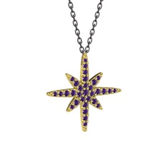 Kutup Yıldızı Kolye - Ametist 925 ayar altın kaplama gümüş kolye (40 cm gümüş rolo zincir) #v8aqpd
