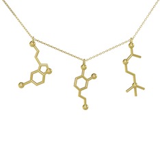 Mutluluk Hormonları Kolye - 925 ayar altın kaplama gümüş kolye (50 cm gümüş rolo zincir) #14lix48