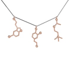 Mutluluk Hormonları Kolye - 18 ayar rose altın kolye (50 cm gümüş rolo zincir) #18g9acg