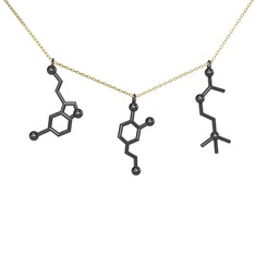 Mutluluk Hormonları Kolye - 925 ayar siyah rodyum kaplama gümüş kolye (50 cm altın rolo zincir) #18qrb6h