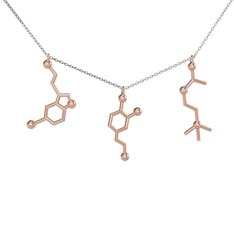 Mutluluk Hormonları Kolye - 14 ayar rose altın kolye (50 cm gümüş rolo zincir) #iauxy5