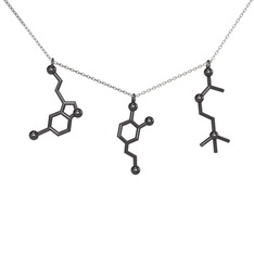 Mutluluk Hormonları Kolye - 925 ayar siyah rodyum kaplama gümüş kolye (50 cm gümüş rolo zincir) #rhgy3z