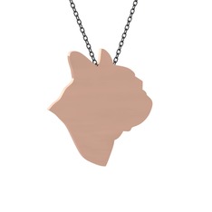 14 ayar rose altın kolye (40 cm gümüş rolo zincir)