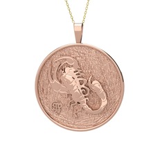 Amon Akrep Kolye - 14 ayar rose altın kolye (40 cm gümüş rolo zincir) #11zcyth