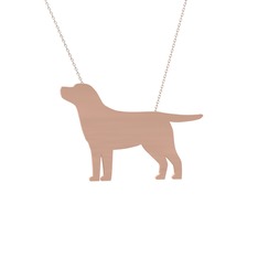 Labrador Köpek Kolye - 14 ayar rose altın kolye (40 cm gümüş rolo zincir) #1nr0m5u