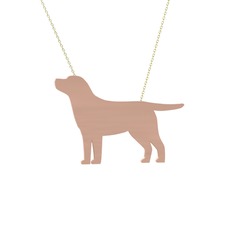 Labrador Köpek Kolye - 18 ayar rose altın kolye (40 cm altın rolo zincir) #rgpylg