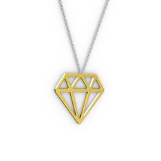 Arin Pırlanta Kolye - 14 ayar altın kolye (40 cm gümüş rolo zincir) #1ttuogs