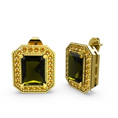 Esinti Dikdörtgen Küpe - Peridot ve sitrin 8 ayar altın küpe #1wp0s7i