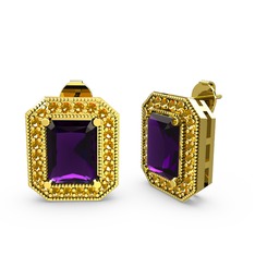 Esinti Dikdörtgen Küpe - Ametist ve sitrin 8 ayar altın küpe #t6suq9