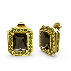 Esinti Dikdörtgen Küpe - Dumanlı kuvars ve peridot 14 ayar altın küpe #xz6vr