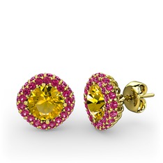 Linne Küpe - Sitrin ve rodolit garnet 925 ayar altın kaplama gümüş küpe #18xqjin