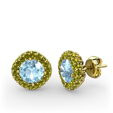 Linne Küpe - Akuamarin ve peridot 18 ayar altın küpe #1loi8aj