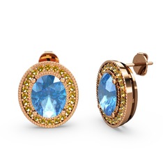 Akuamarin ve sitrin 14 ayar rose altın küpe