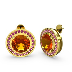 Esinti Daire Küpe - Rodolit garnet ve sitrin 925 ayar altın kaplama gümüş küpe #1asqcg4