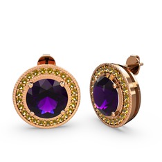 Esinti Daire Küpe - Sitrin ve ametist 14 ayar rose altın küpe #d0k8o7