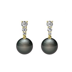 Siyah inci ve swarovski 18 ayar altın küpe