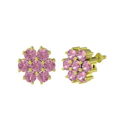 Maeve Küpe - Pembe kuvars 925 ayar altın kaplama gümüş küpe #1he30ff