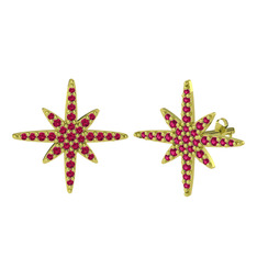 Kutup Yıldızı Küpe - Rodolit garnet 8 ayar altın küpe #17j4img