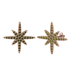 Kutup Yıldızı Küpe - Peridot 925 ayar rose altın kaplama gümüş küpe #1bfqdga