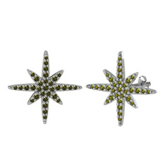 Kutup Yıldızı Küpe - Peridot 925 ayar gümüş küpe #1gi1skp