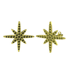 Kutup Yıldızı Küpe - Peridot 14 ayar altın küpe #1onox79