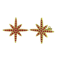 Kutup Yıldızı Küpe - Garnet 8 ayar altın küpe #ahahe