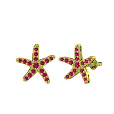 Denizyıldızı Küpe - Rodolit garnet 18 ayar altın küpe #16wi9v6