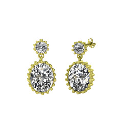 Fennel Küpe - Swarovski 8 ayar altın küpe #17tp100