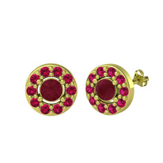 Minimal İris Küpe - Kök yakut ve rodolit garnet 8 ayar altın küpe #7b8brq