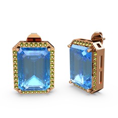 Avis Küpe - Akuamarin ve peridot 18 ayar rose altın küpe #8n2le4