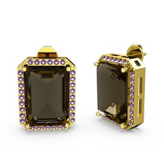 Avis Küpe - Dumanlı kuvars ve ametist 14 ayar altın küpe #djzck4