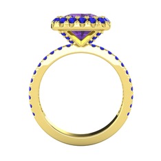 Hale Tektaş Yüzük - Ametist ve lab safir 14 ayar altın yüzük #1dgvfjm