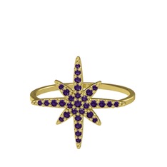 Kutup Yıldızı Yüzük - Ametist 925 ayar altın kaplama gümüş yüzük #jvh61b