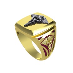 Runa Caduceus Yüzük - 925 ayar siyah rodyum kaplama gümüş yüzük (Bordo kırmızı mineli) #djsgp8