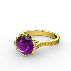 Serene Tektaş Yüzük - Ametist ve sitrin 14 ayar altın yüzük #zcdqno