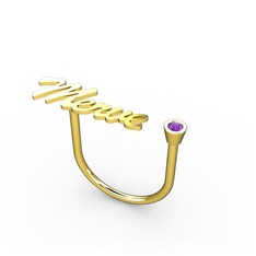 Taşlı İsim Yüzük - Ametist 14 ayar altın yüzük (5 karakterli el yazısı) #6l8zof