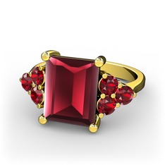 Areli Dikdörtgen Yüzük - Kök yakut ve garnet 14 ayar altın yüzük #1s154ob